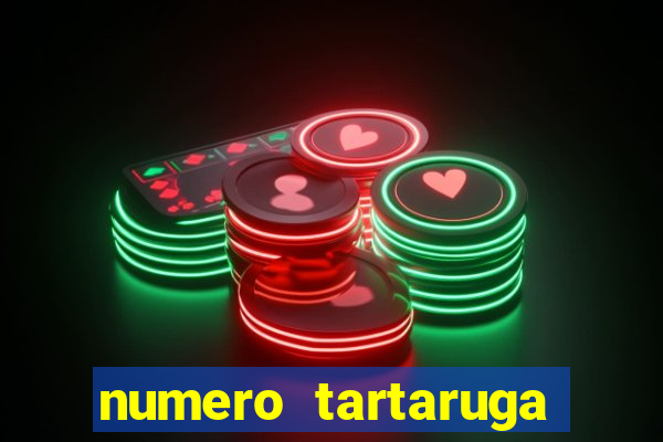 numero tartaruga jogo do bicho